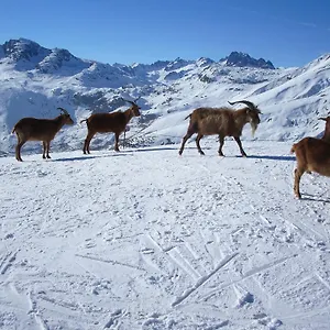 D'hotes Kiki & Coco Bed & Breakfast Saint-Jean-de-Maurienne